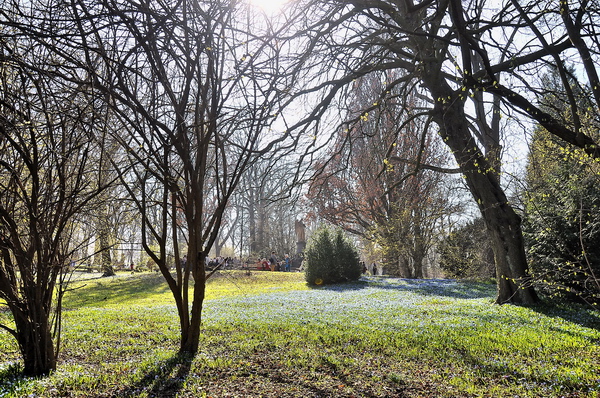Fruehling2012   060.jpg
